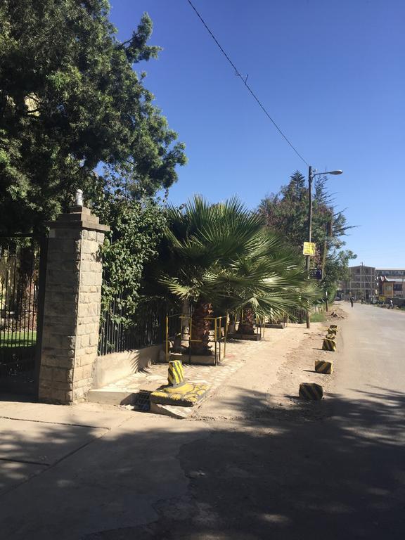 Bow Hotel B&B Addis Ababa Exterior foto